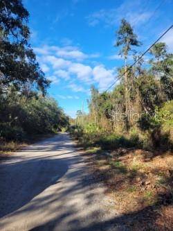 New Port Richey, FL 34654,10934 LEON ST