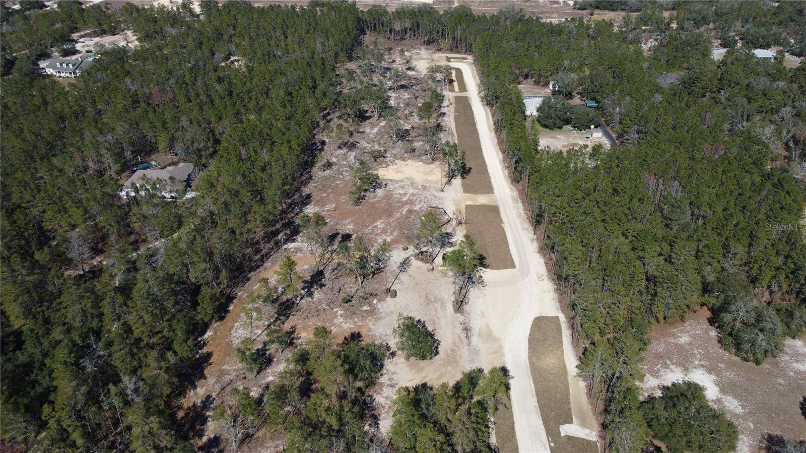 Weeki Wachee, FL 34614,13183 HAVEN TRL
