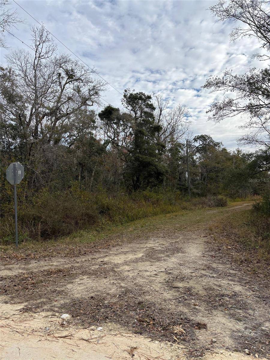 Brooksville, FL 34614,Lot 1 CAROLINA DOVE RD