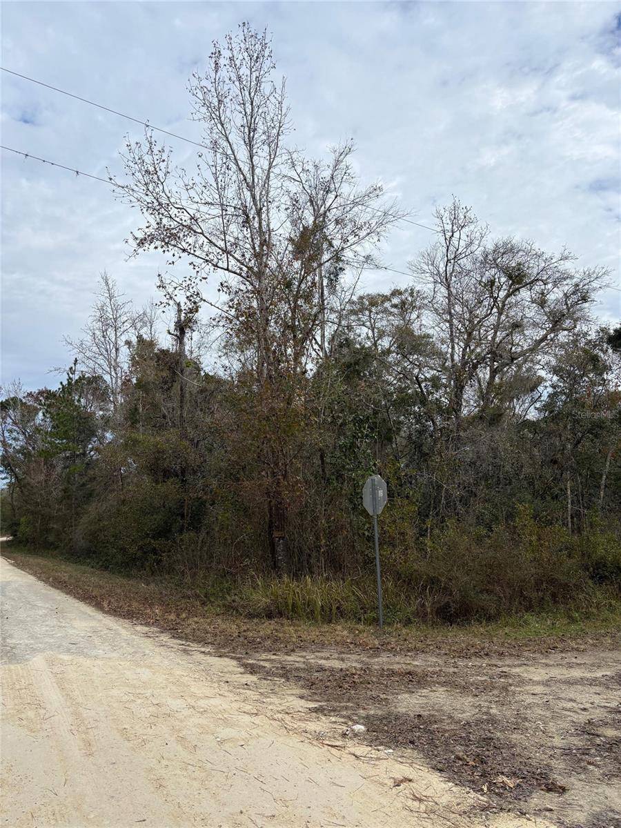 Brooksville, FL 34614,Lot 1 CAROLINA DOVE RD