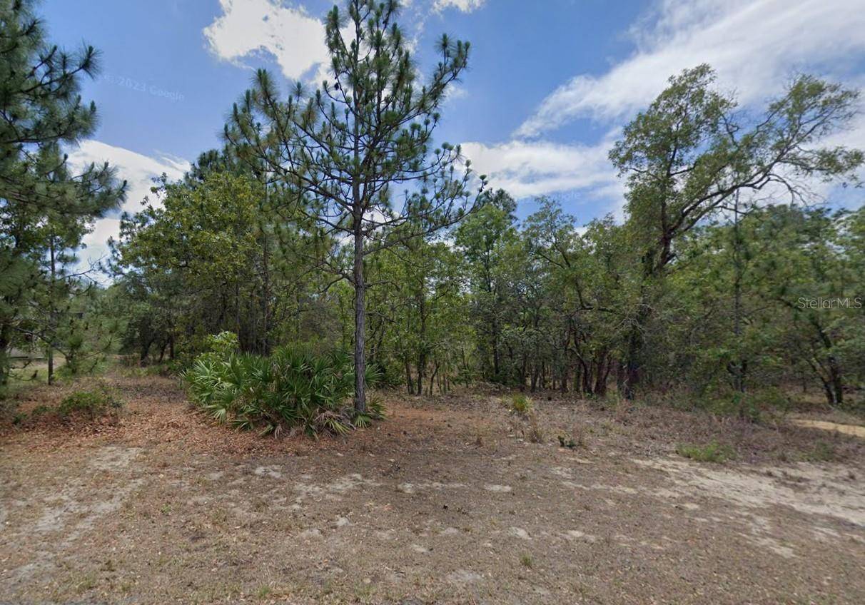 Homosassa, FL 34446,3 ELDER CT W