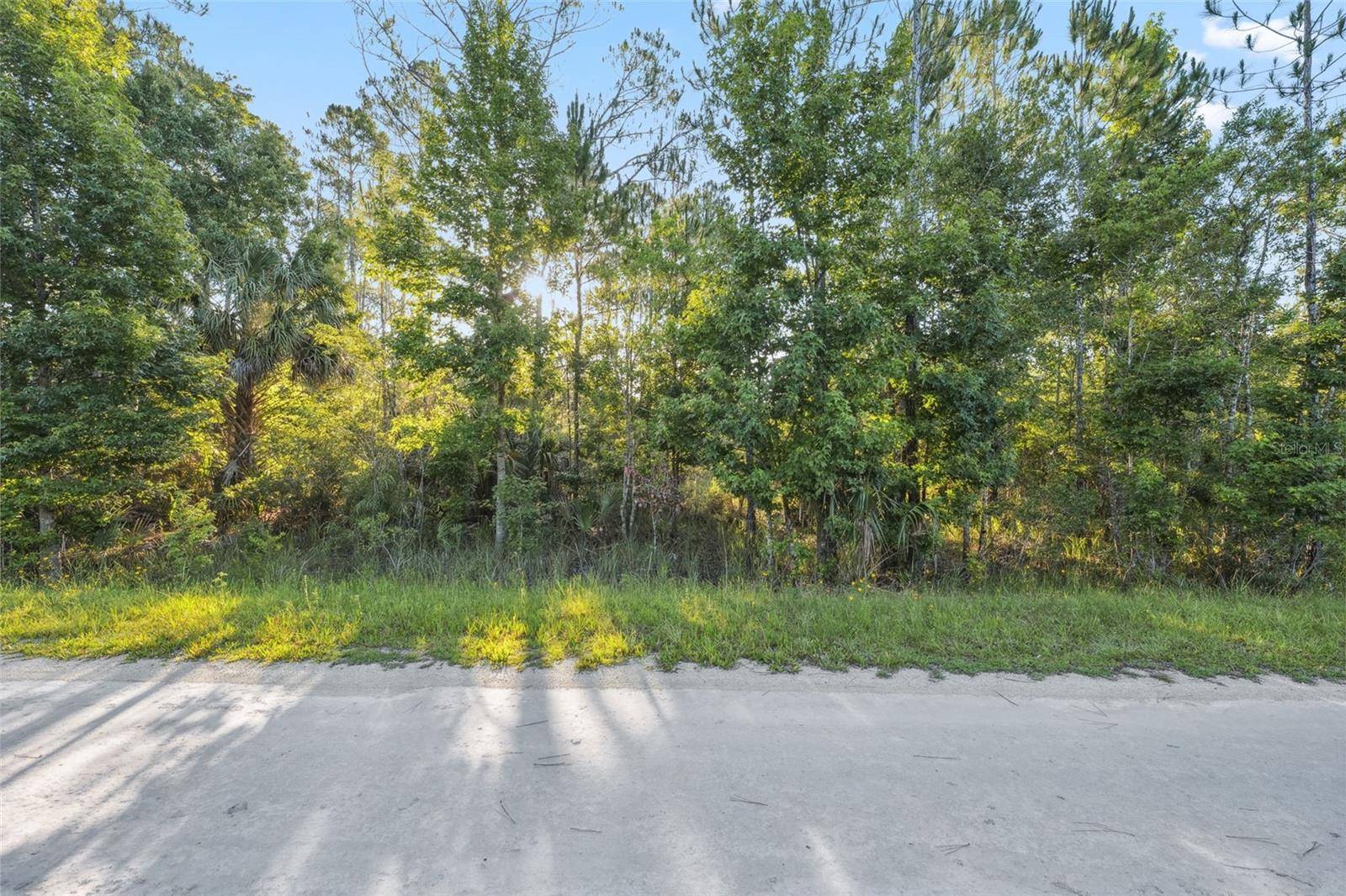 Weeki Wachee, FL 34614,0 RAMSEY RD