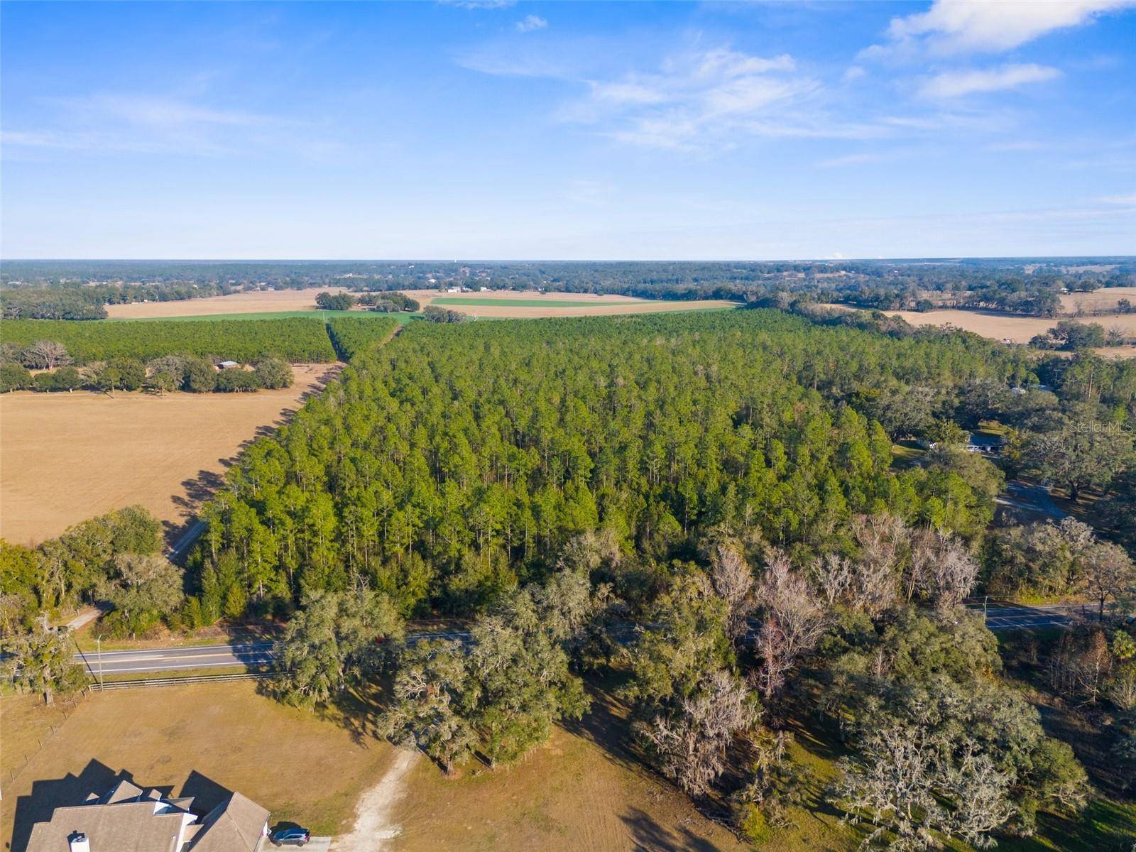 Brooksville, FL 34601,0 SPRING LAKE HWY