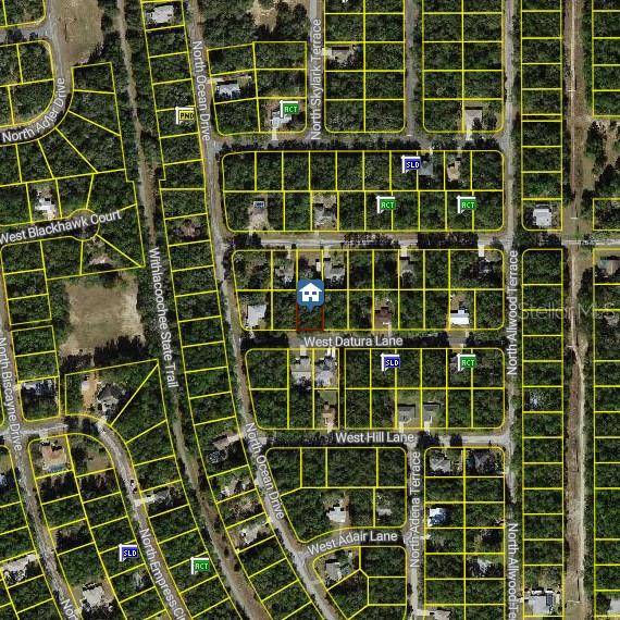Citrus Springs, FL 34434,1661 W DATURA LN