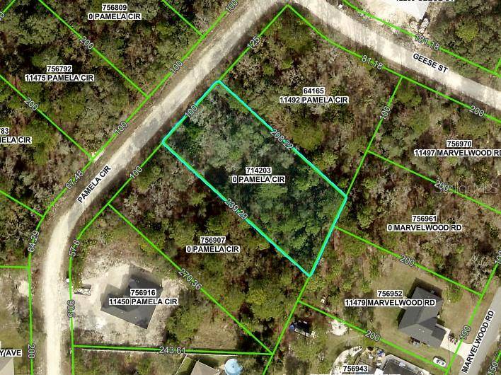 Brooksville, FL 34614,PAMELA CIR