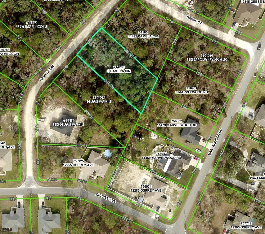 Brooksville, FL 34614,PAMELA CIR