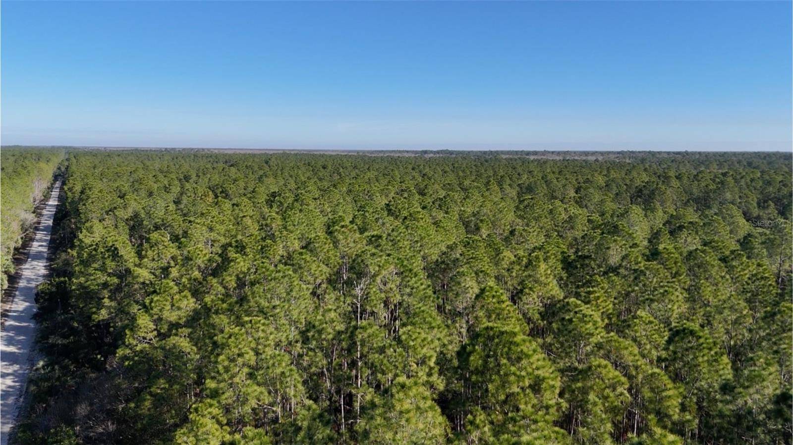 New Smyrna Beach, FL 32168,0 OLD TRAIN RD