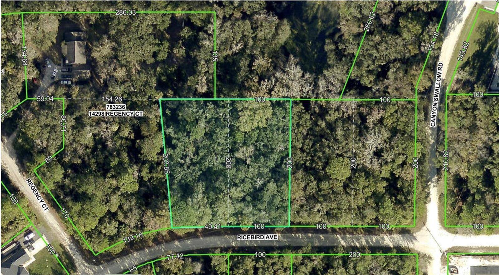 Brooksville, FL 34614,0 RICEBIRD (LOT 8 & 9) AVE