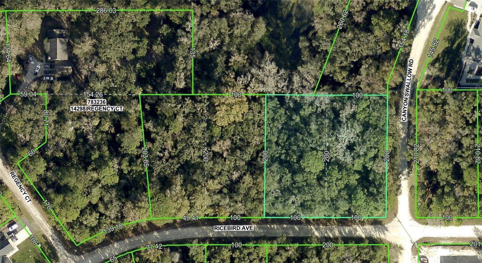 Brooksville, FL 34614,0 RICEBIRD (LOT 10 & 11) AVE