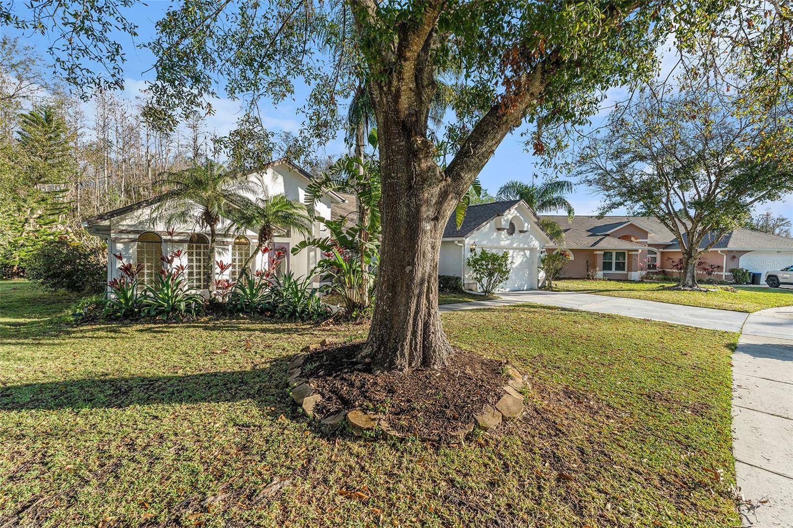 Land O Lakes, FL 34639,4739 MAHOGANY CT