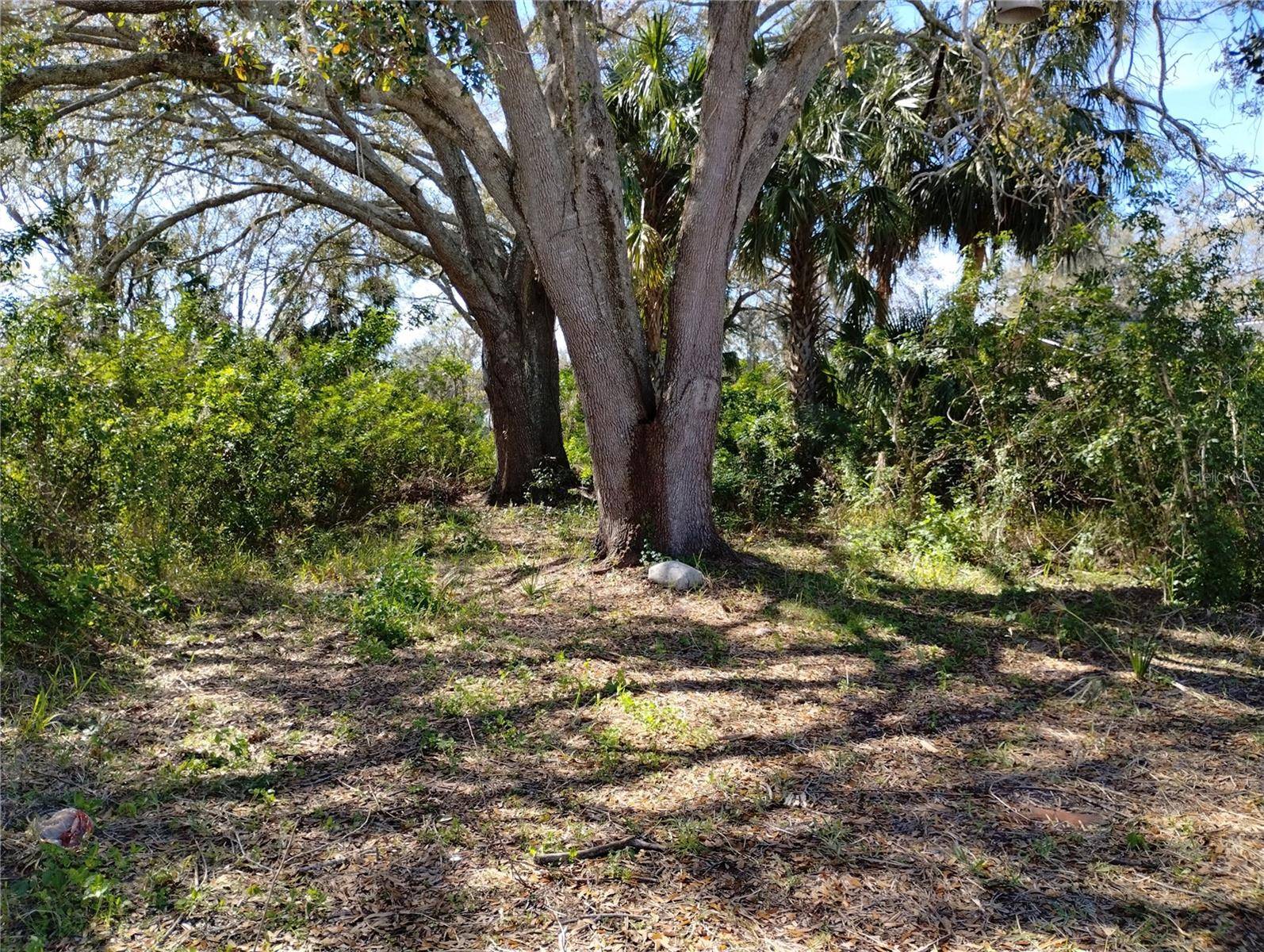 New Port Richey, FL 34653,0 BELAH DR #Lot #8