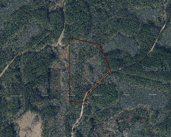 Bonifay, FL 32425,0 CANOPY OAK BLVD