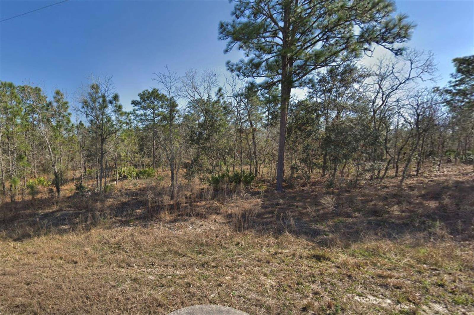 Brooksville, FL 34614,16382 KINGBIRD RD