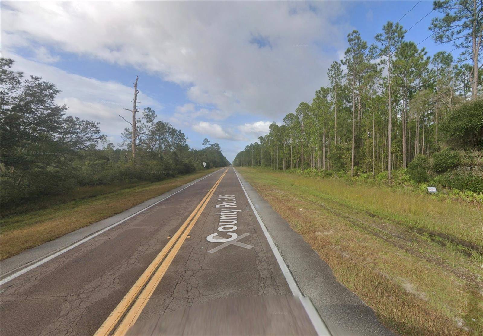 Interlachen, FL 32148,COUNTY ROAD 315