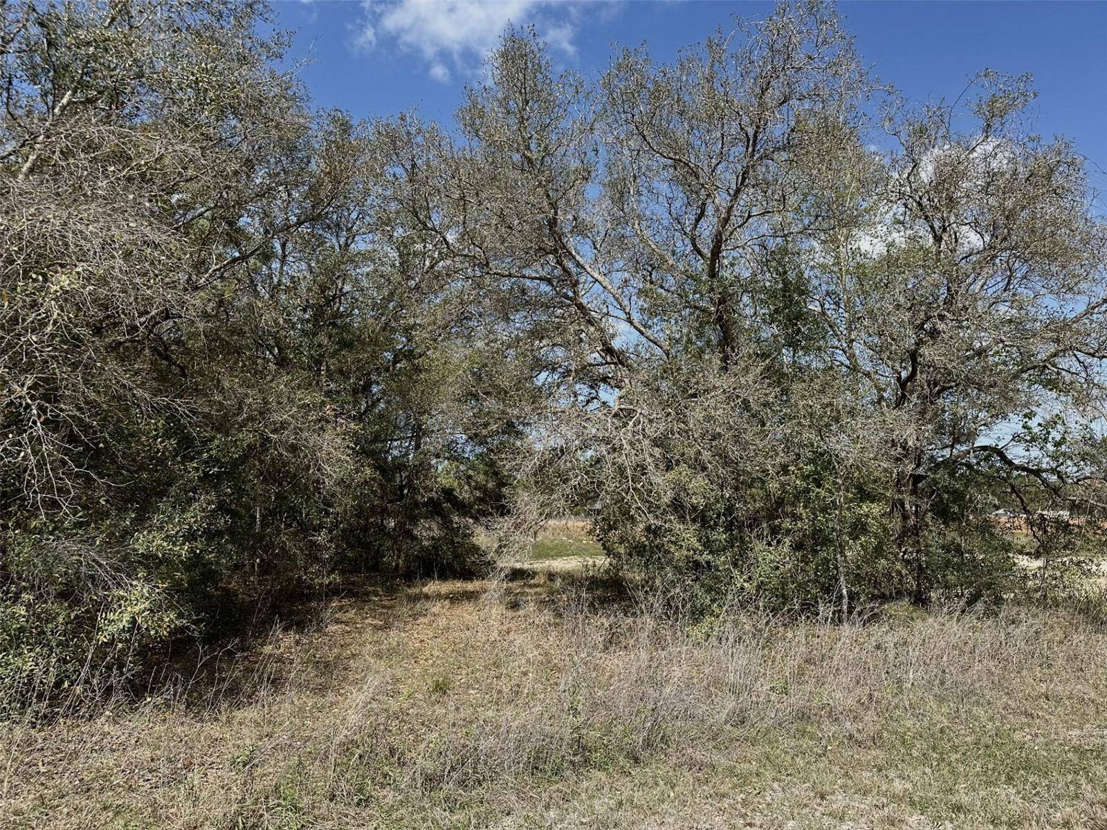 Brooksville, FL 34614,0 COURLAN RD