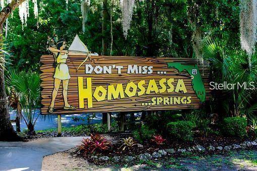Homosassa, FL 34446,19 LOBELIA CT