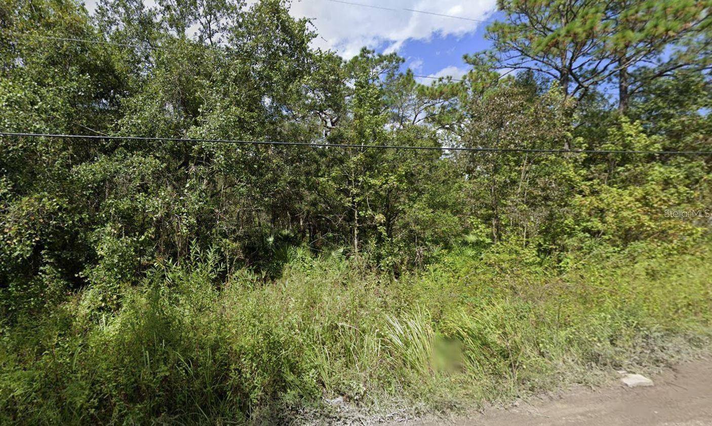 New Port Richey, FL 34654,00 MORTON ST