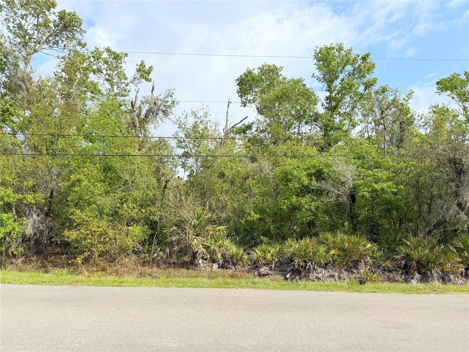 Plant City, FL 33565,5430 BOB SMITH AVE