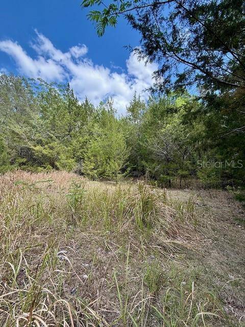Brooksville, FL 34601,14037 OLD CRYSTAL RIVER RD