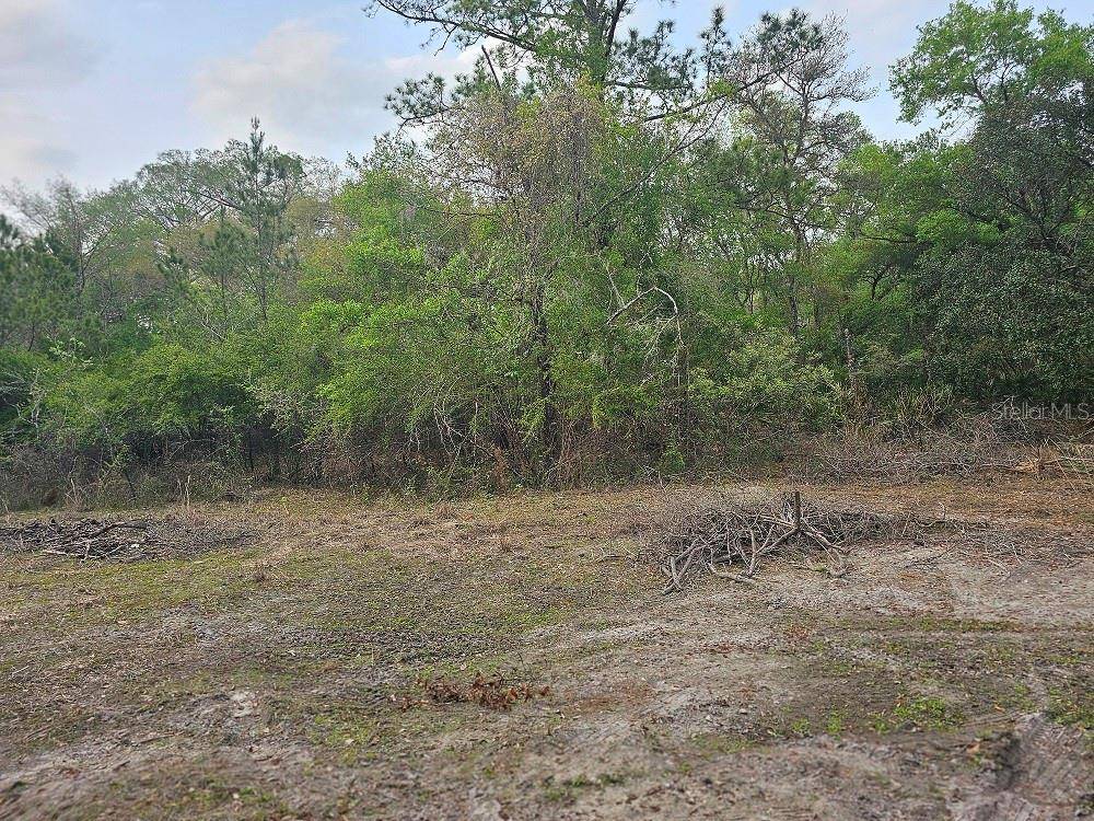 Webster, FL 33597,0 COLONEL AVE