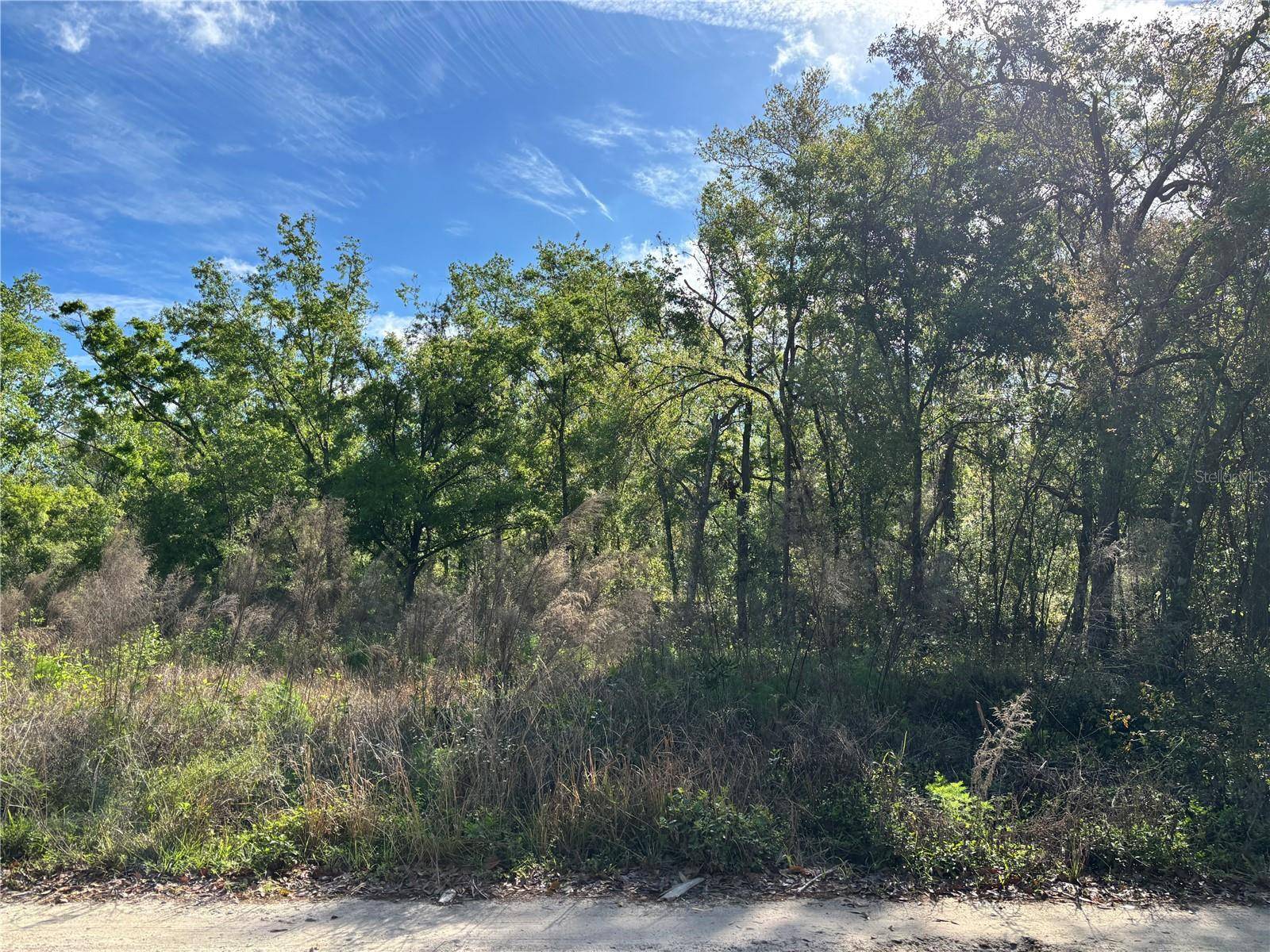 New Port Richey, FL 34654,11042 BOUNTY ST