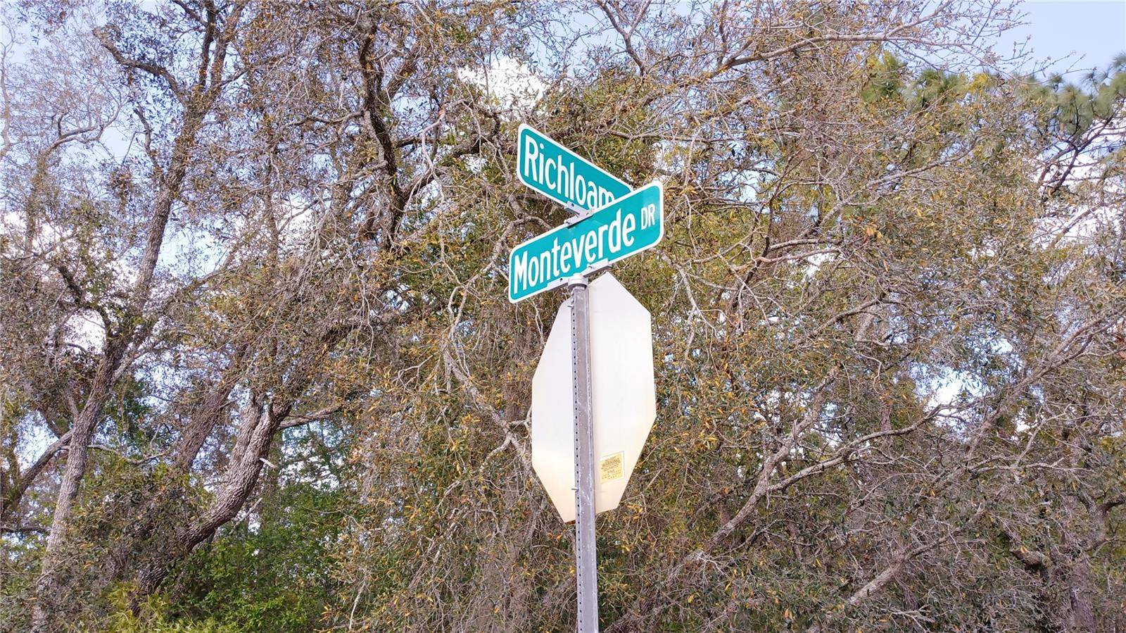 Spring Hill, FL 34610,2146 RICHLOAM LN