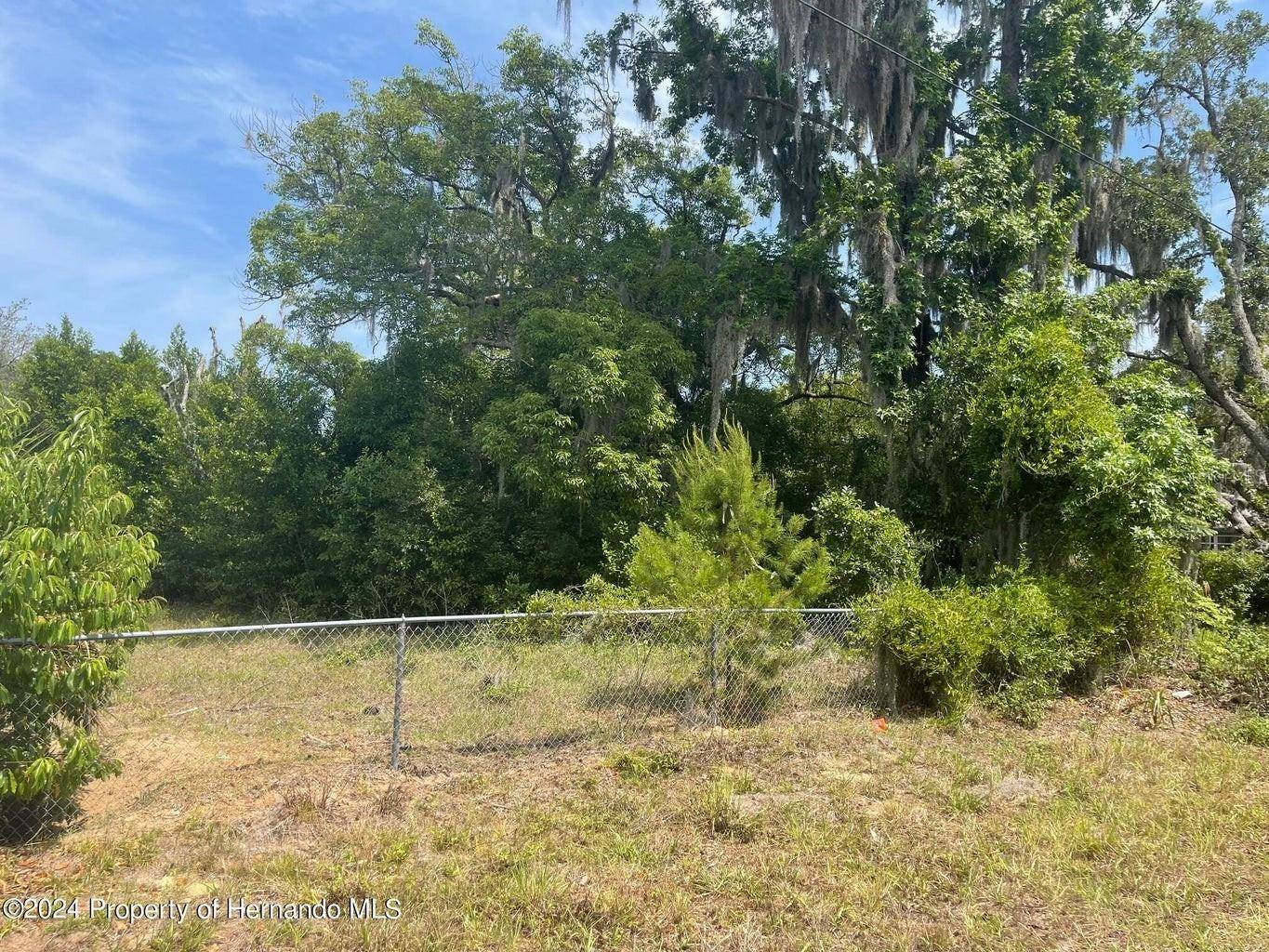Weeki Wachee, FL 34607,5180 PACIFIC AVE