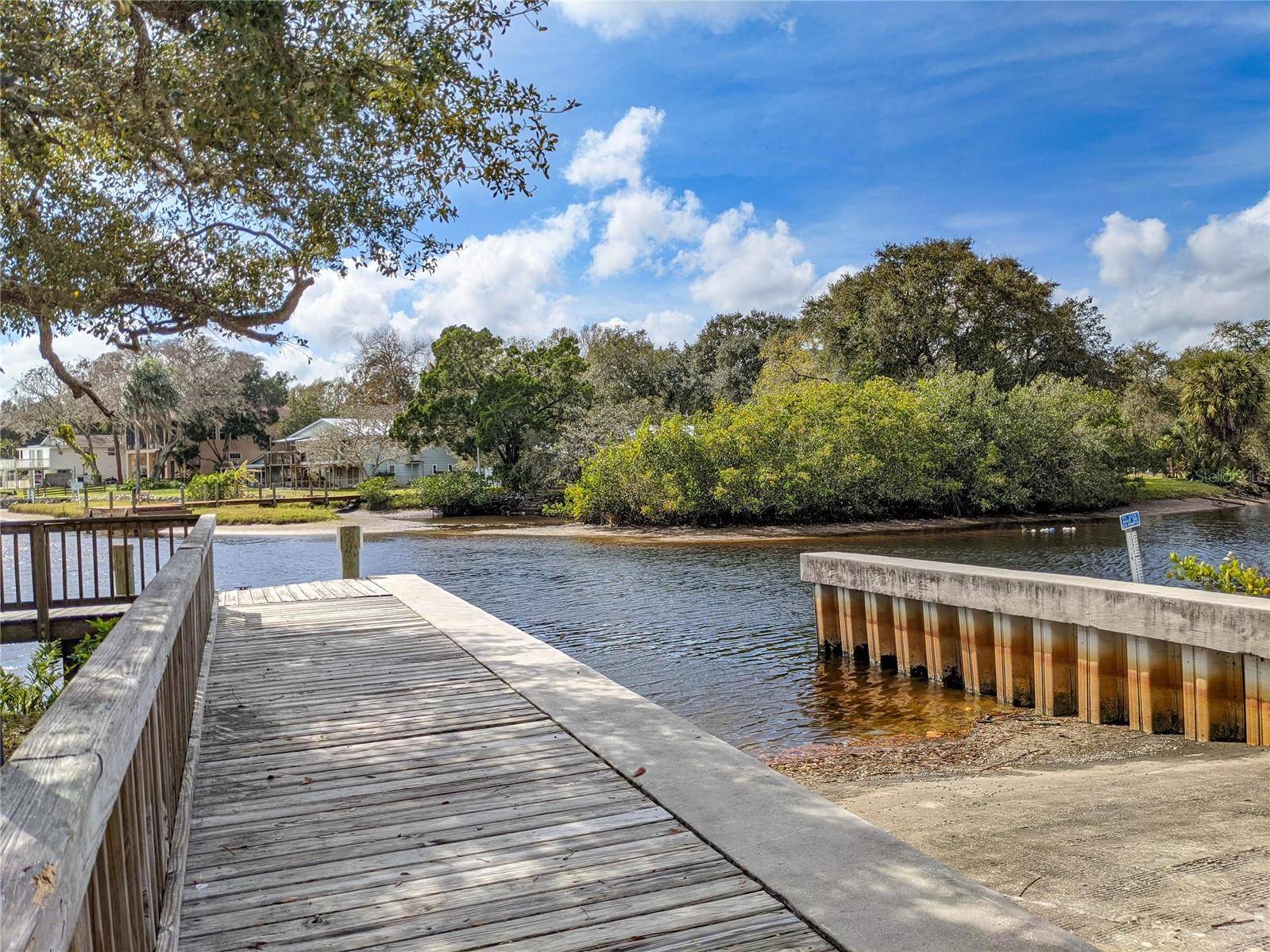 Trinity, FL 34655,6109 JAPONICA CT