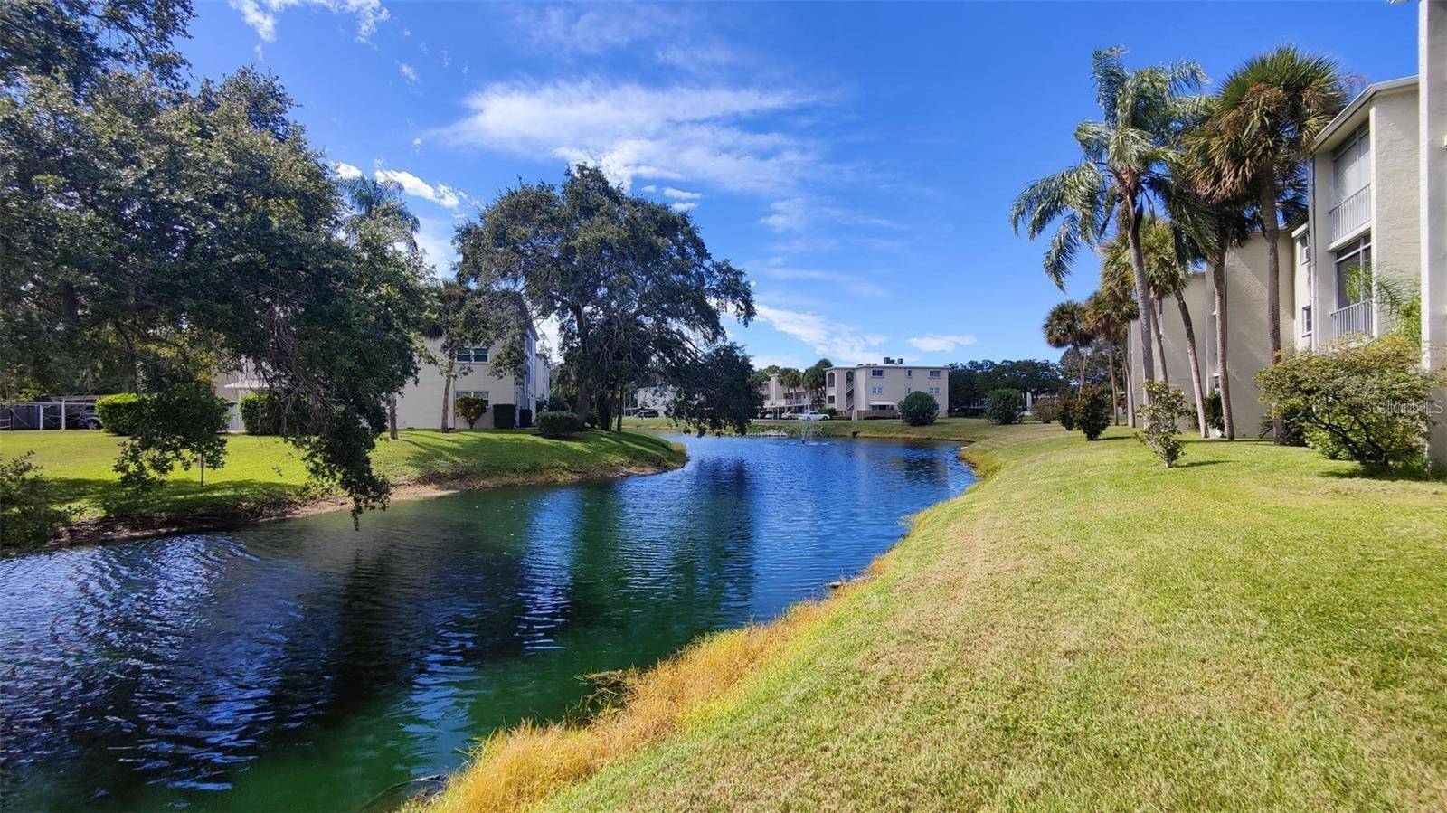 Dunedin, FL 34698,952 VIRGINIA ST #103
