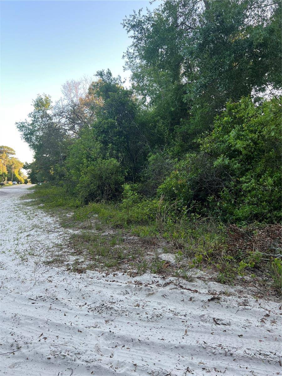 Spring Hill, FL 34610,HAVENWOODS RD
