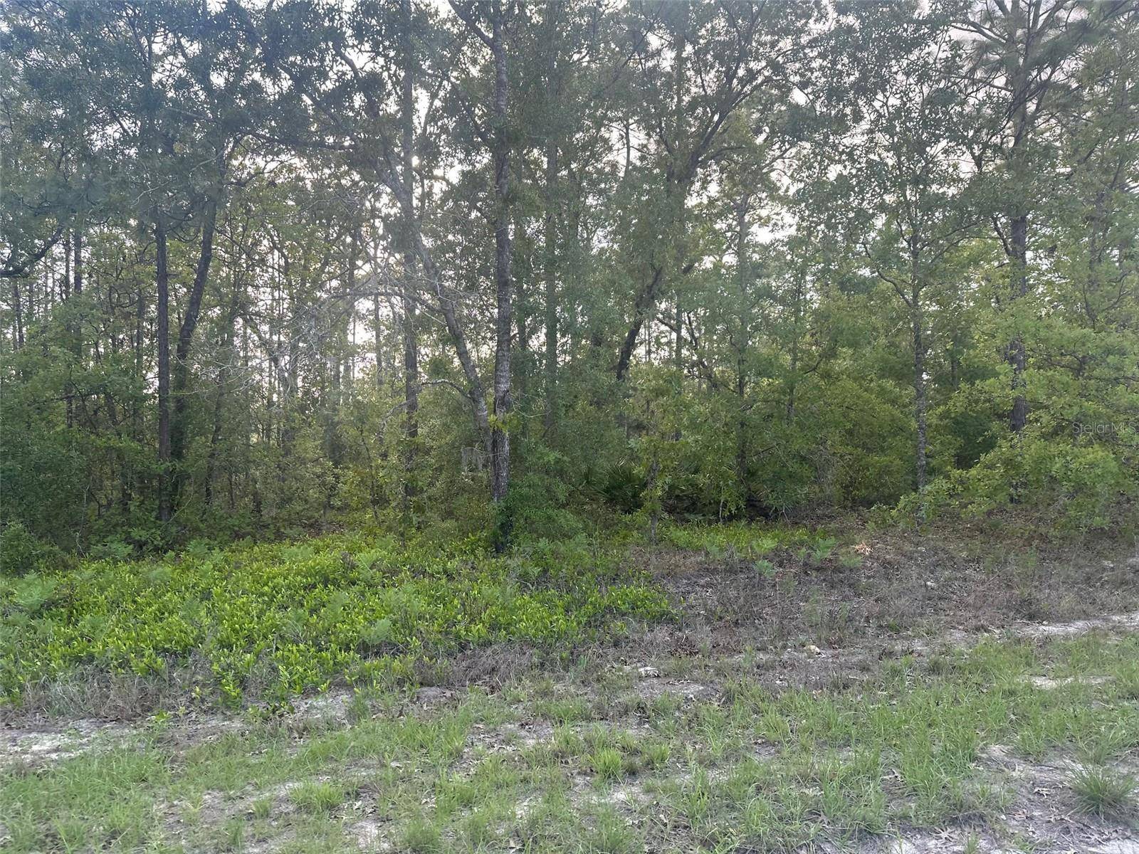 Brooksville, FL 34614,Lot 19 CAYMAN RD