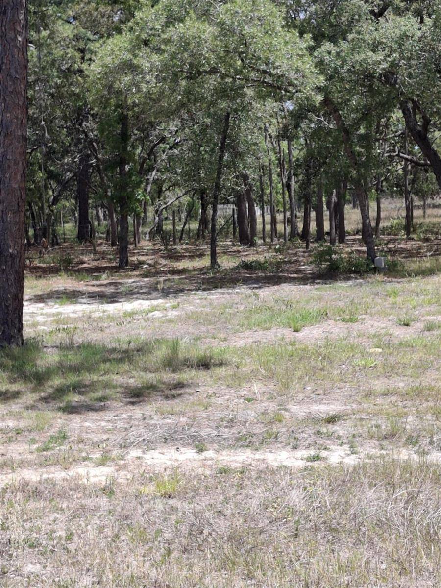 Lecanto, FL 34461,5467 S FROST PT
