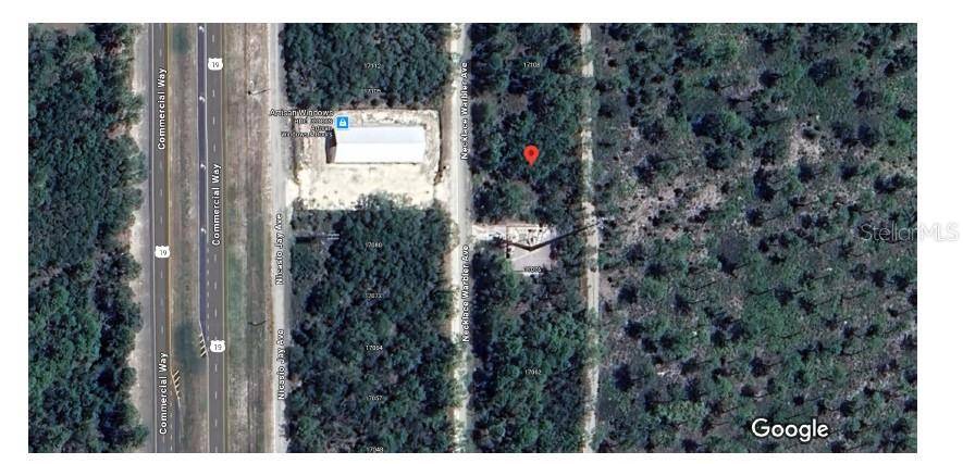 Brooksville, FL 34614,17094 NECKLACE WARBLER AVE