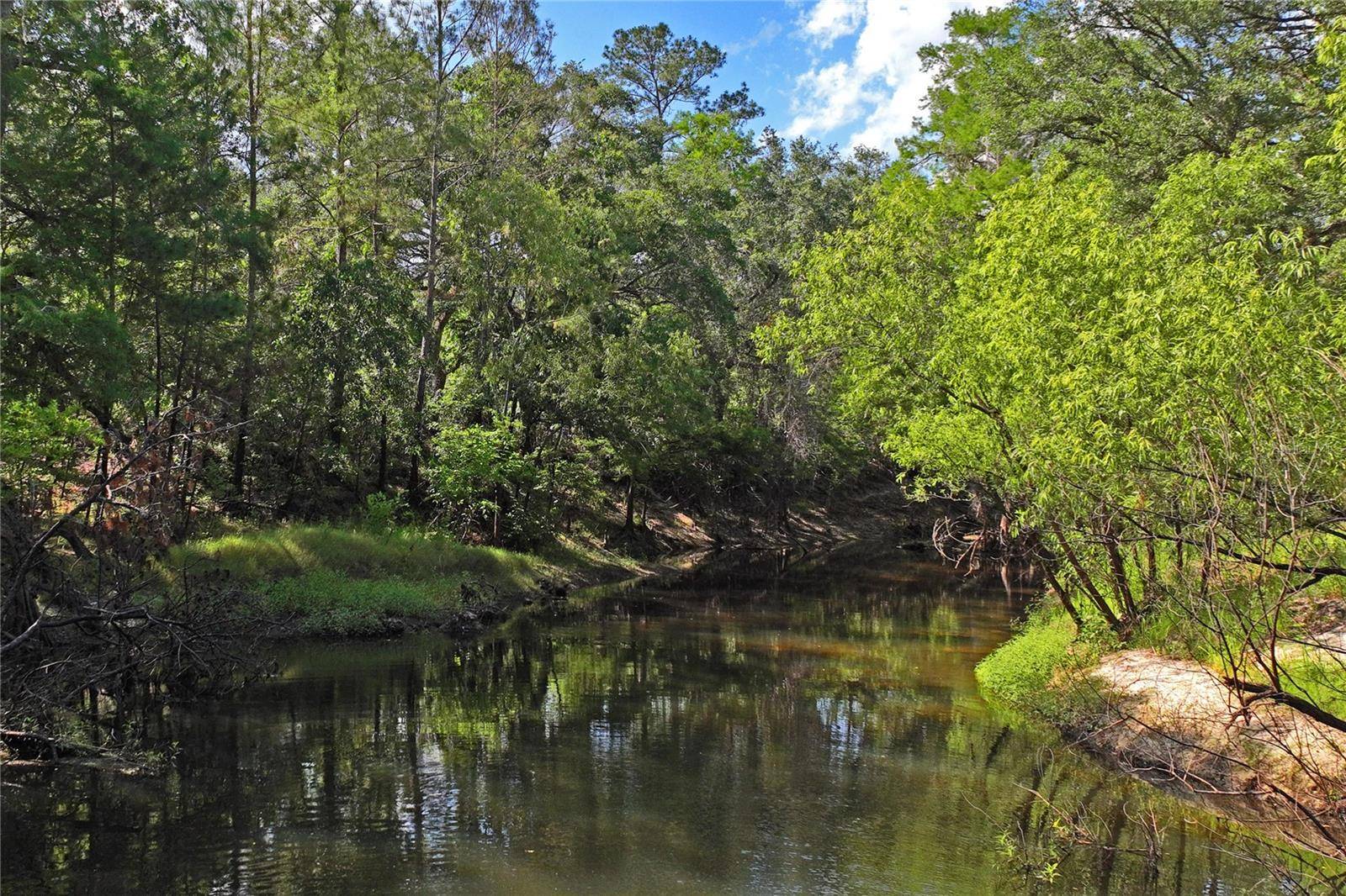 Dade City, FL 33523,3431 RIDERWOOD DR