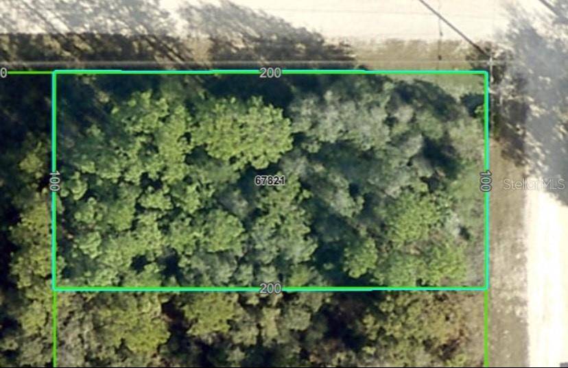 Brooksville, FL 34614,14040 RUFFED GROUSE RD