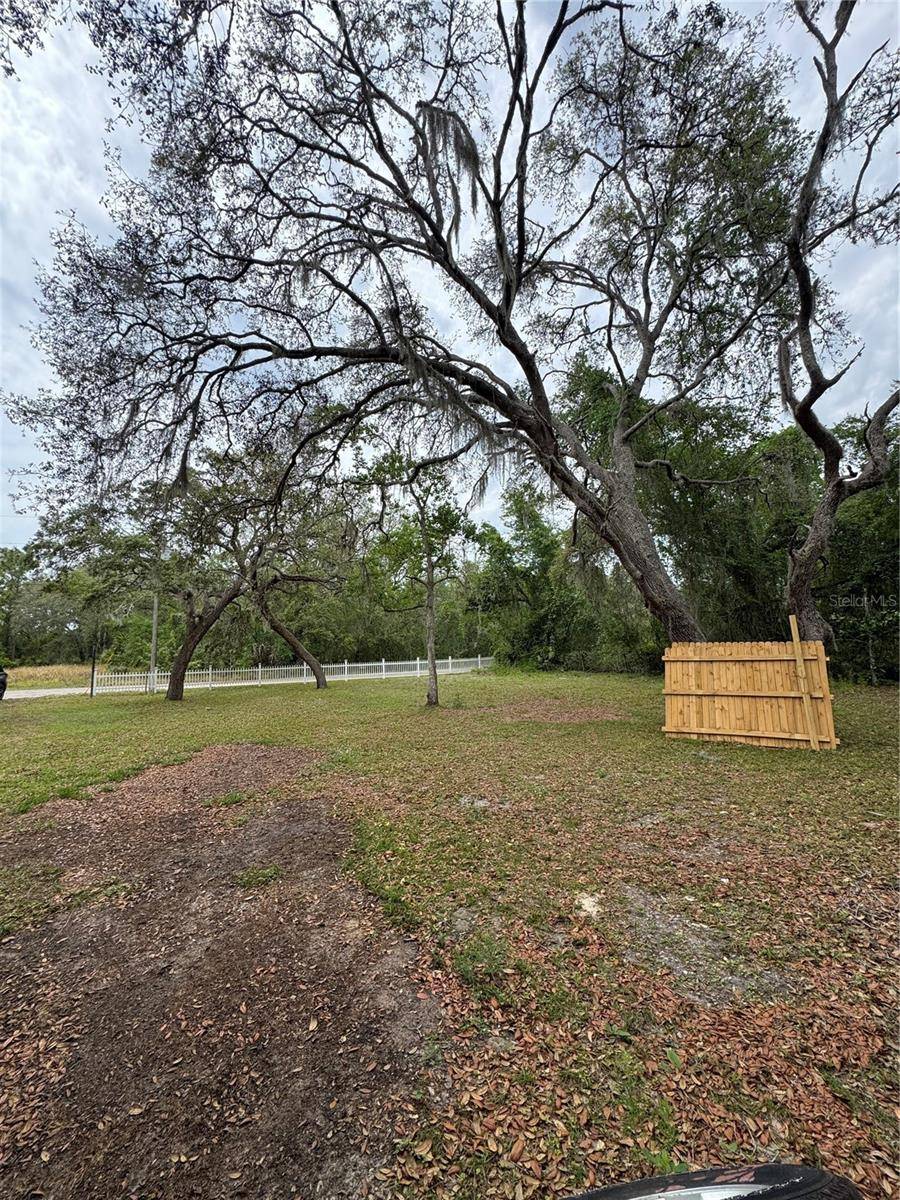 New Port Richey, FL 34654,0 HEDGES ST