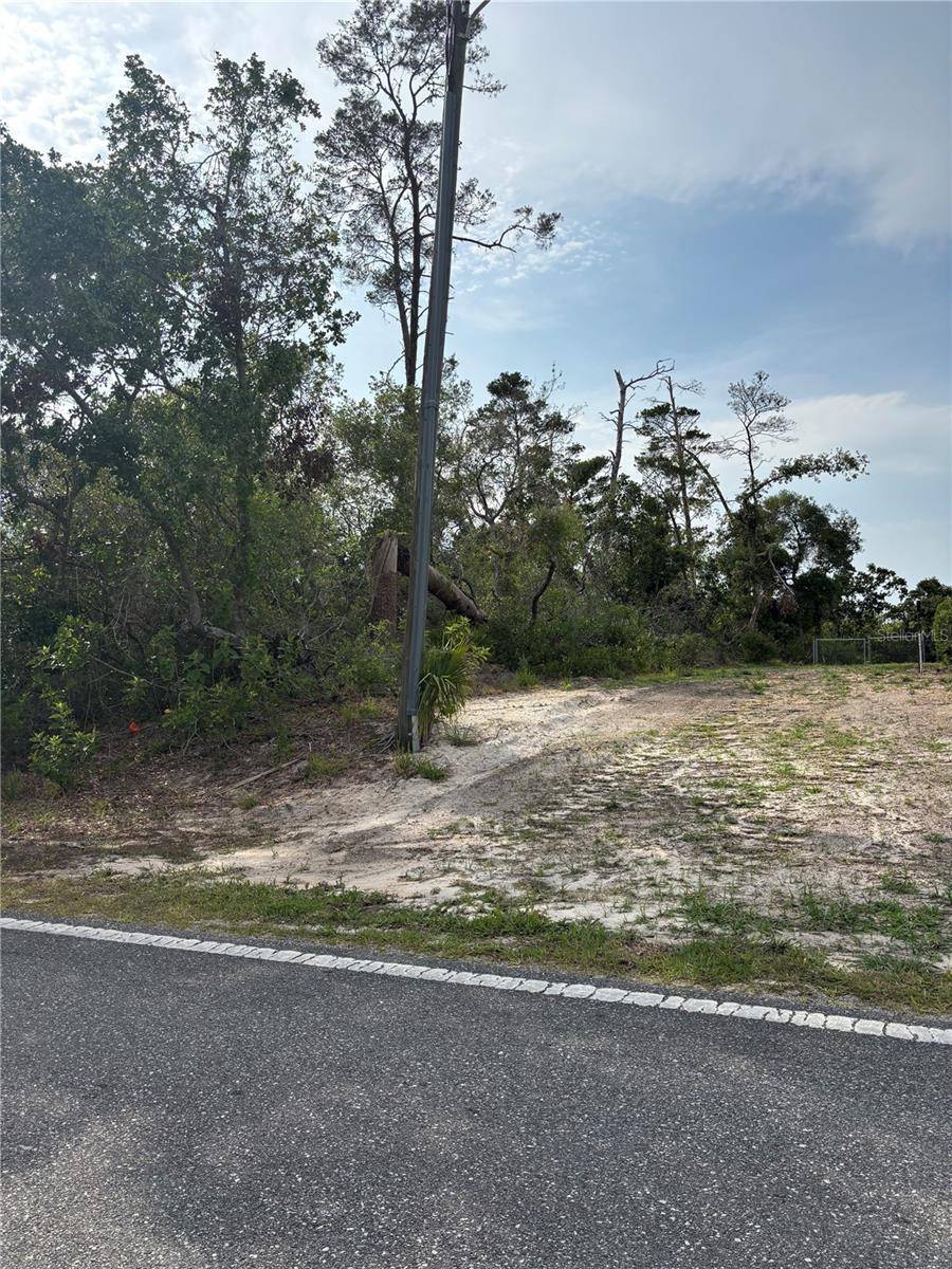 Weeki Wachee, FL 34613,9412 NODDY TERN RD
