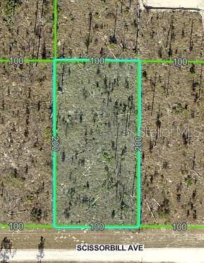 Brooksville, FL 34614,SCISSORBILL AVE