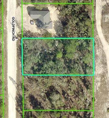Brooksville, FL 34614,GOLDFINCH RD