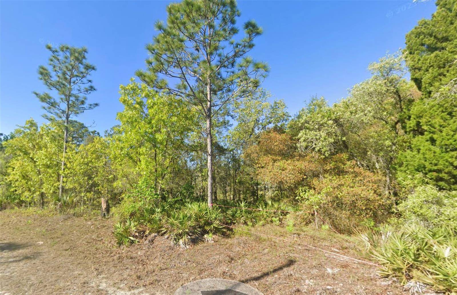 Weeki Wachee, FL 34614,Address not disclosed