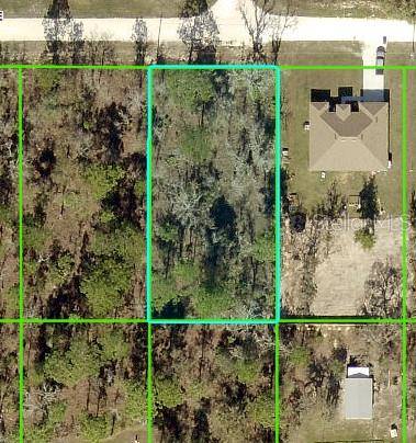Brooksville, FL 34614,13358 VELVET SCOTER AVE