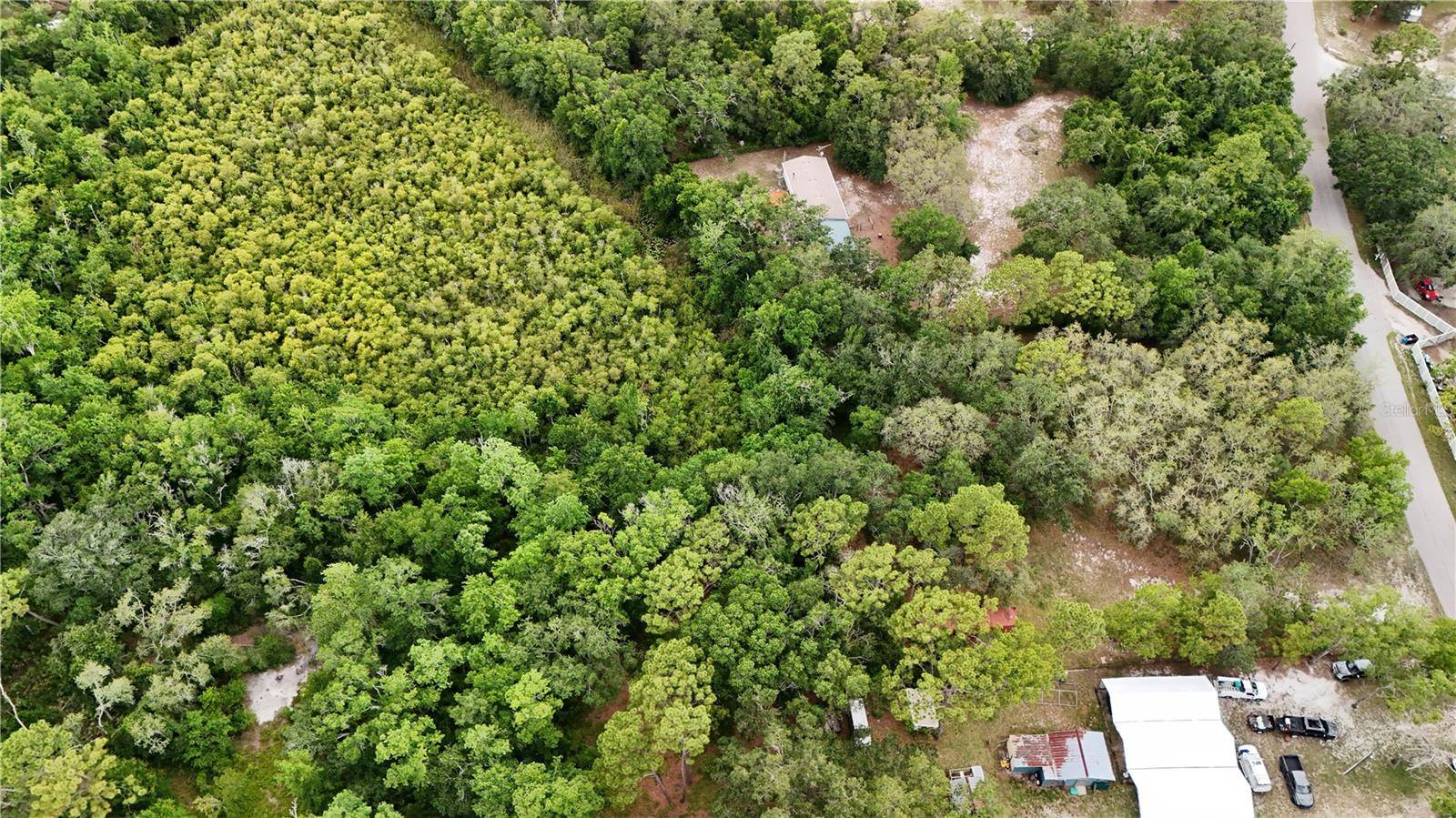 Hudson, FL 34669,TAMI TRAIL