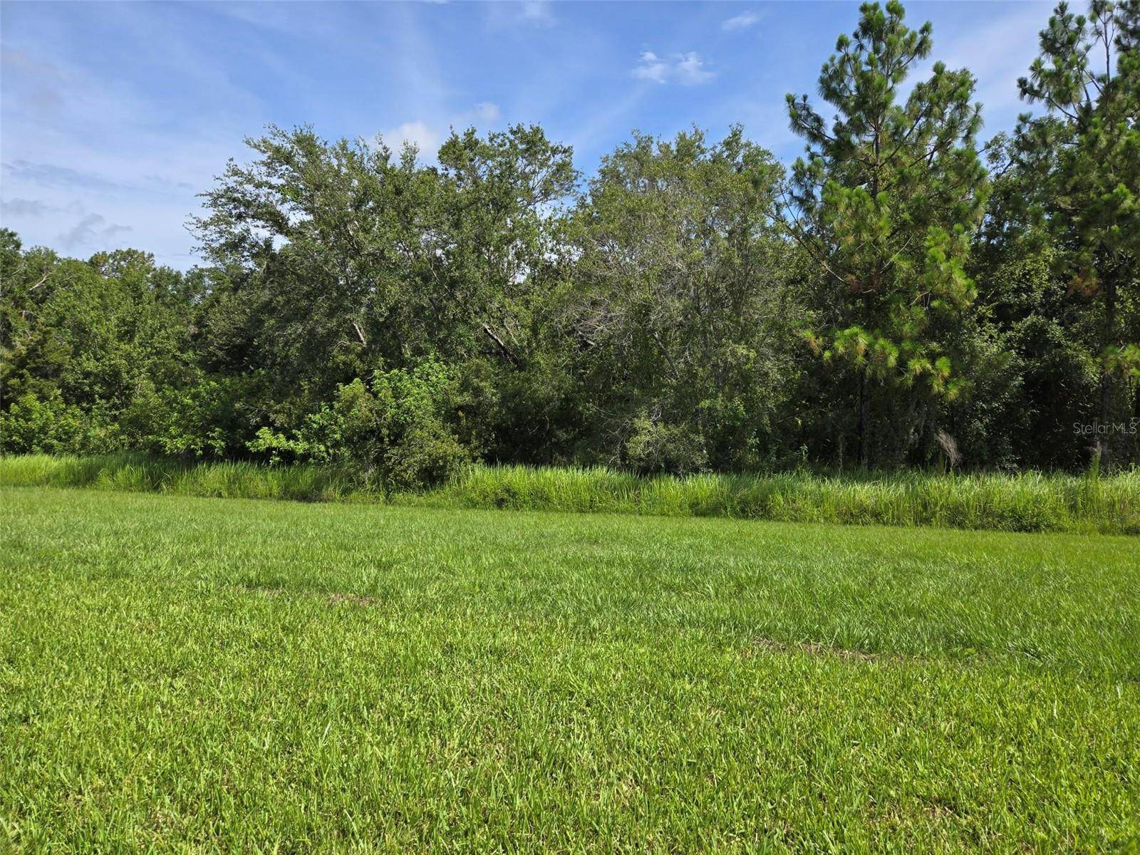 Lakewood Ranch, FL 34211,14437 MAIDEN TER