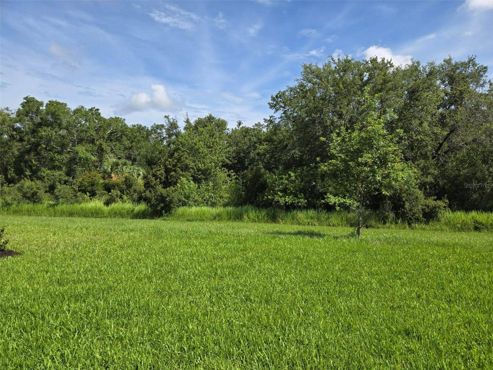 Lakewood Ranch, FL 34211,14429 MAIDEN TER