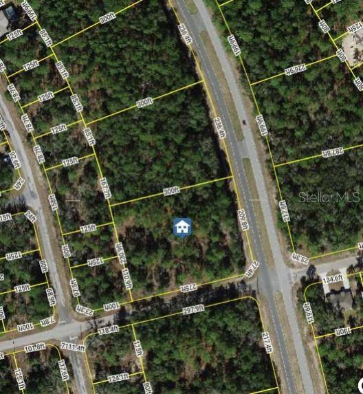 Citrus Springs, FL 34434,1287 W EVERGREEN DR