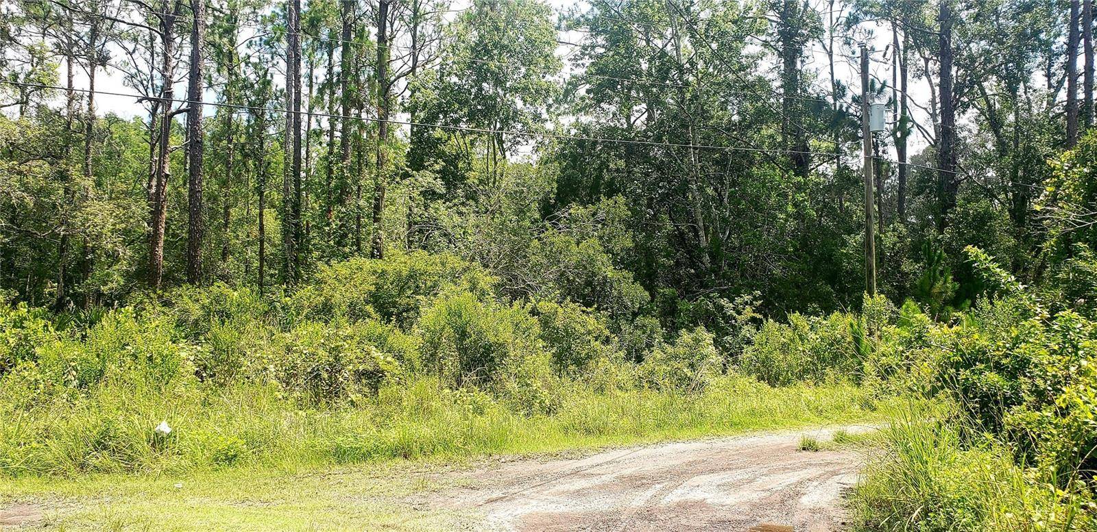 New Port Richey, FL 34654,TBD LADD AVE