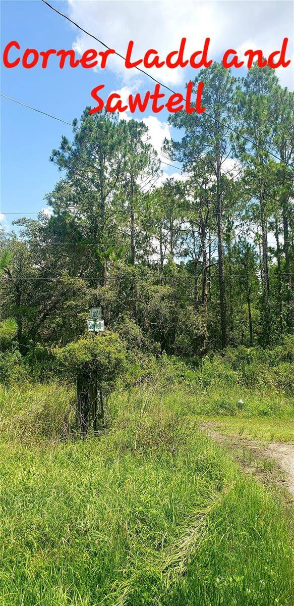 New Port Richey, FL 34654,TBD LADD AVE