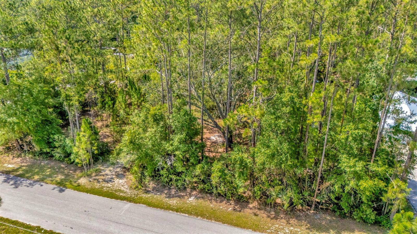 Wesley Chapel, FL 33544,27422 GREEN WILLOW RUN