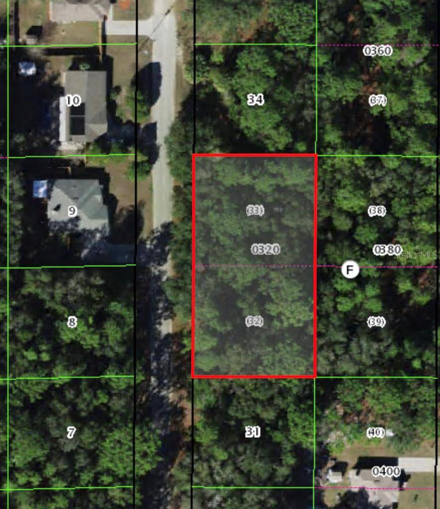 Crystal River, FL 34428,8646 N DISCALFANI LOOP