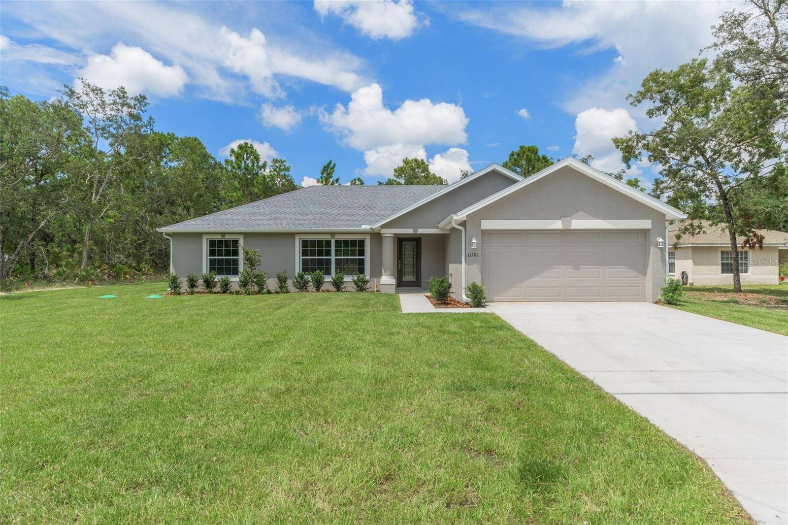 Weeki Wachee, FL 34614,12128 PETREL AVE